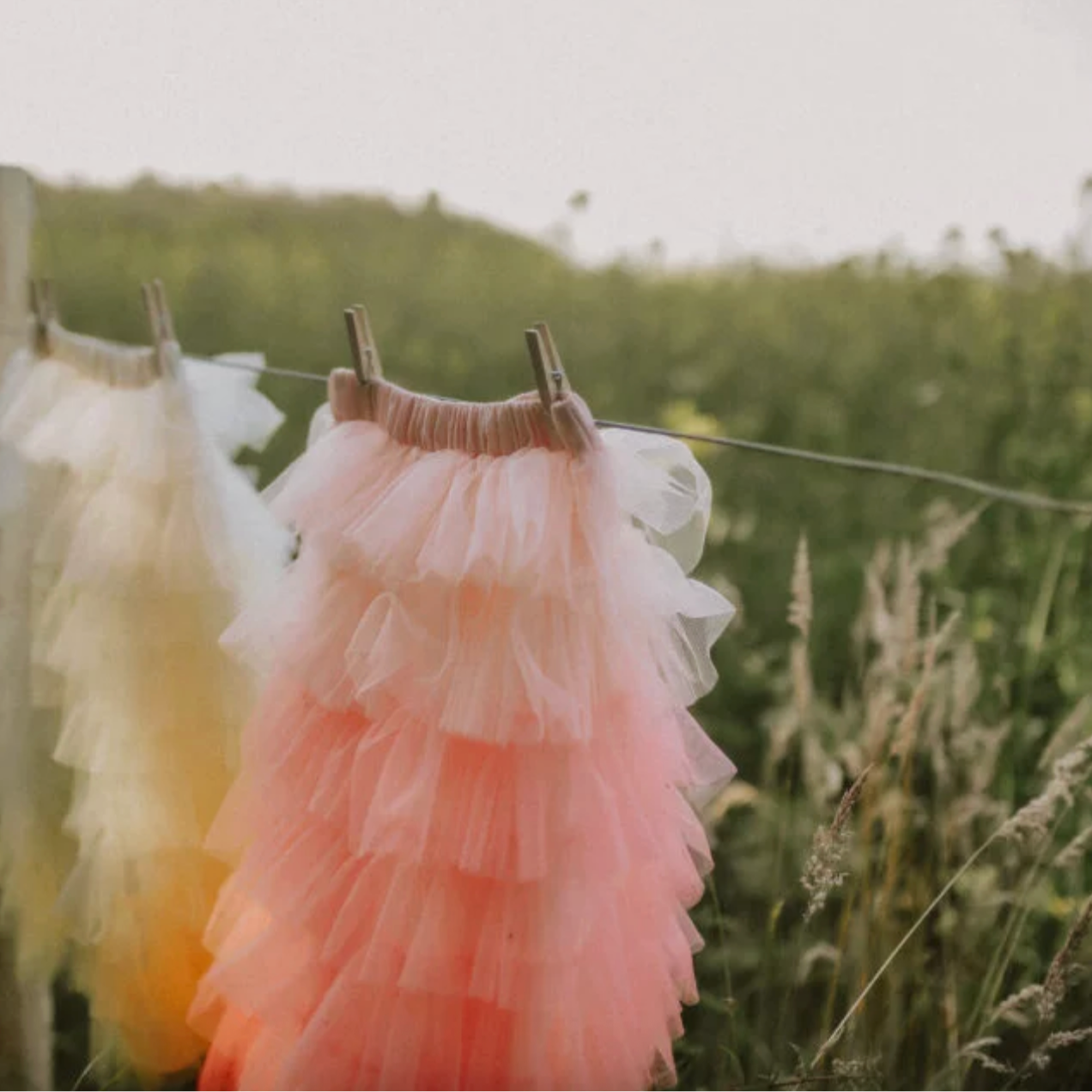 Pink ruffled dress hanging on a clothesline in a field