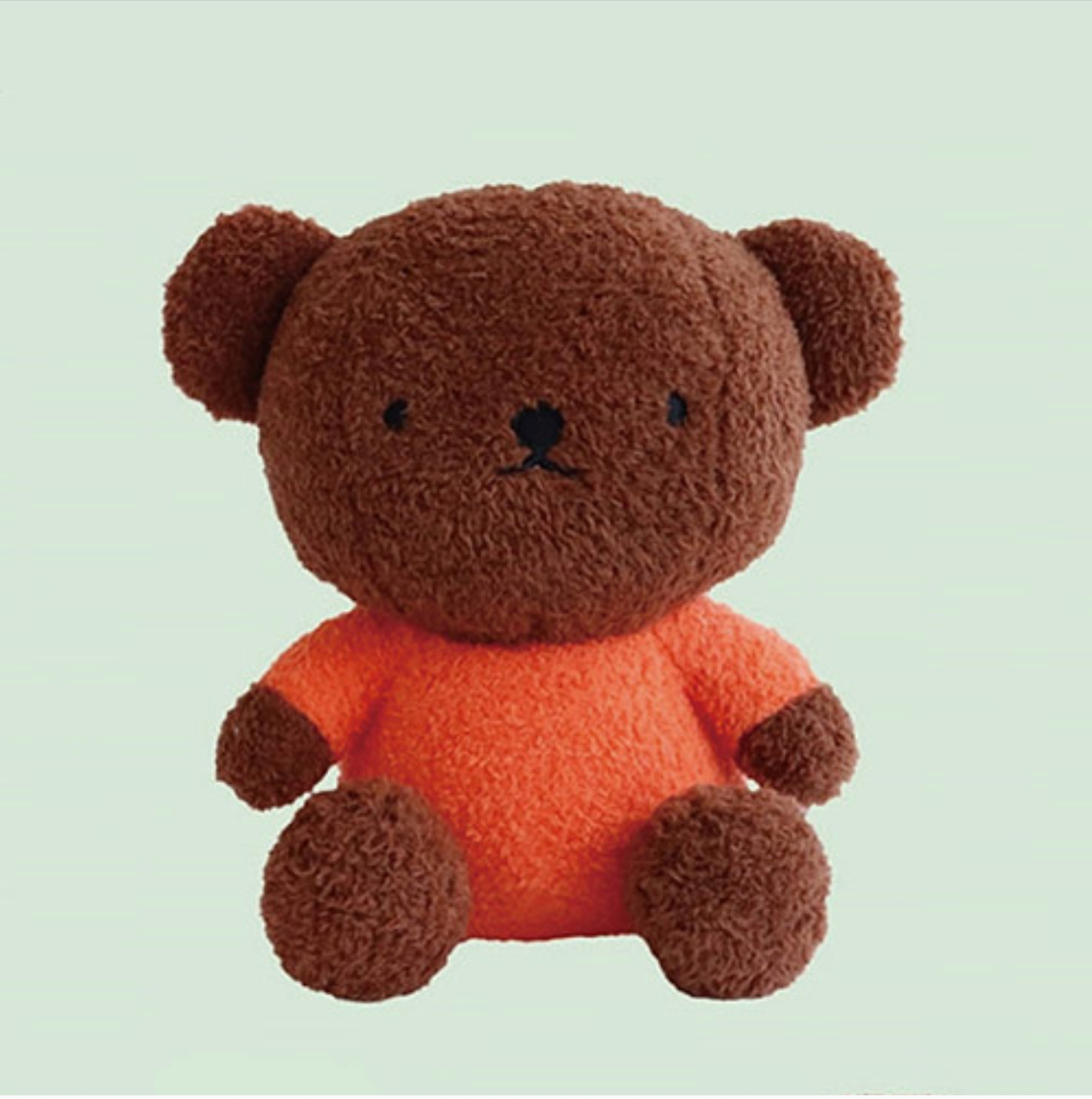 Small brown teddy bear with an orange shirt on a light green background - Little-ish