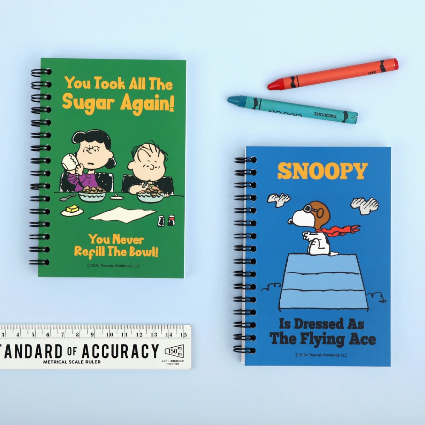 Two cartoon-themed notebooks with a ruler and crayons on a light blue background - Little-ish