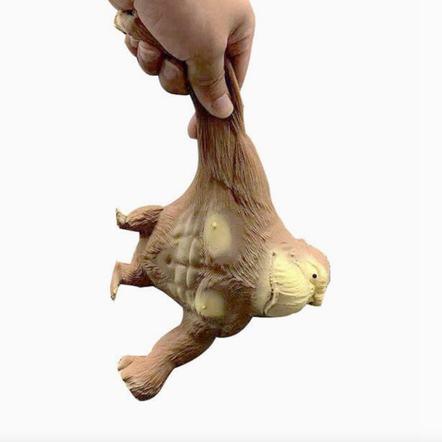 Hand holding a ginger root against a white background