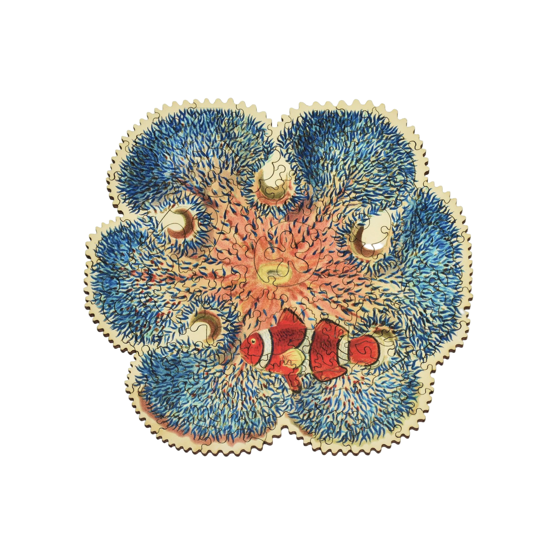 Colorful illustration of a barrier reef anemone on a computer screen with a web browser open. - Little-ish