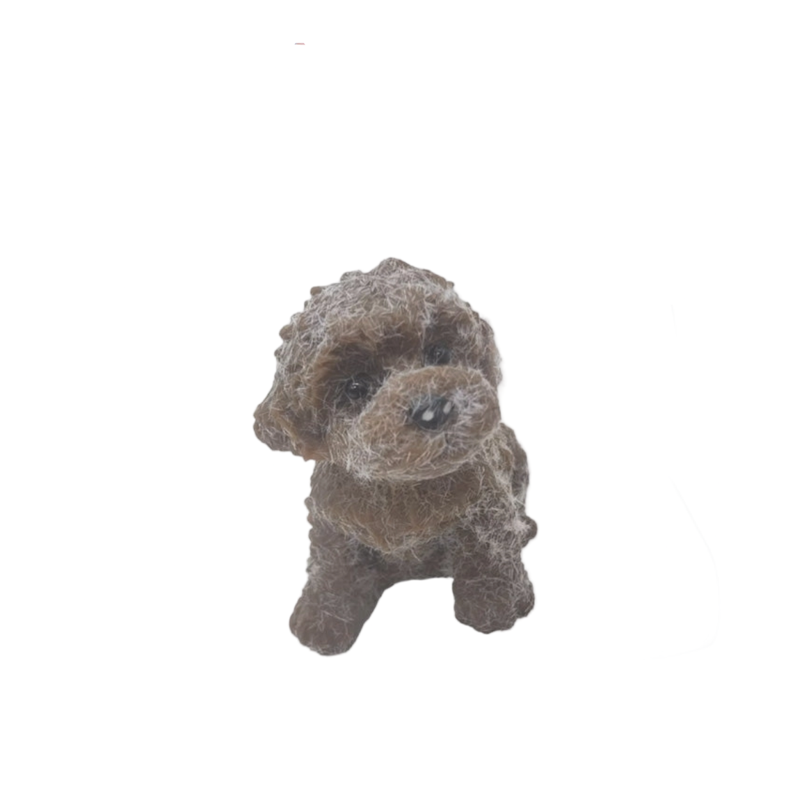 TABA SQUISHY  - CHOCOLATE BROWN DOG