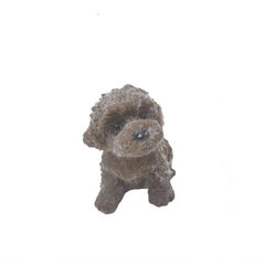 TABA SQUISHY  - CHOCOLATE BROWN DOG