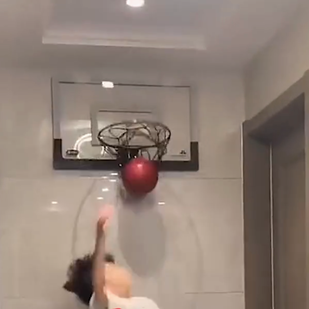 STEALTHDUNK: INDOOR HOOP WITH CLEAR BACK