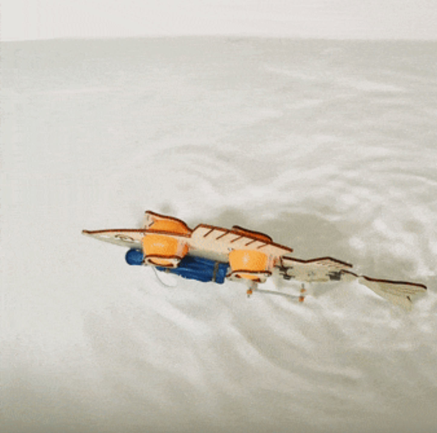 SWIMMING FISH ROBOT DIY STEM KIT