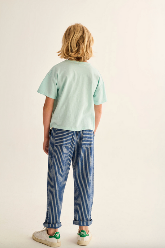AERO NAVY STRIPED PANT