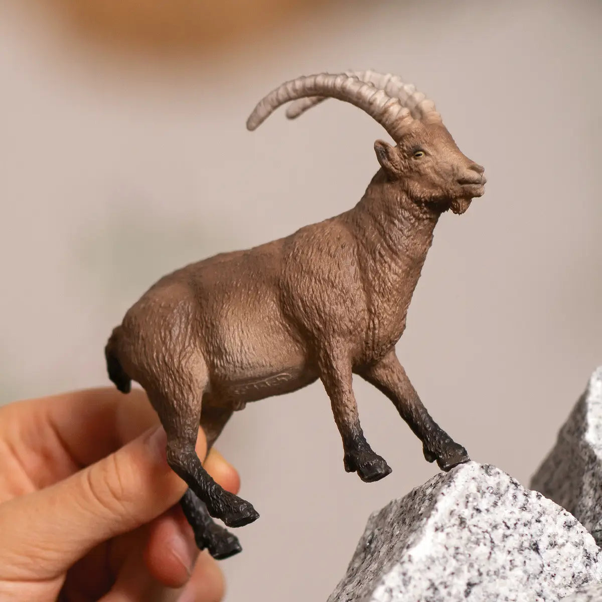 IBEX CAPRICORN