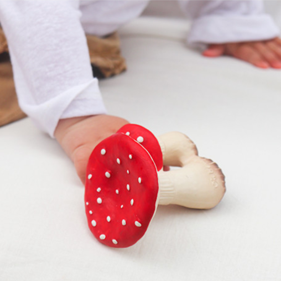 SPOT THE MUSHROOM TEETHER & BATH TOY