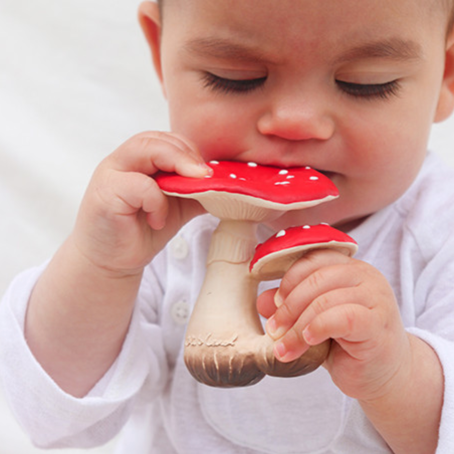 SPOT THE MUSHROOM TEETHER & BATH TOY