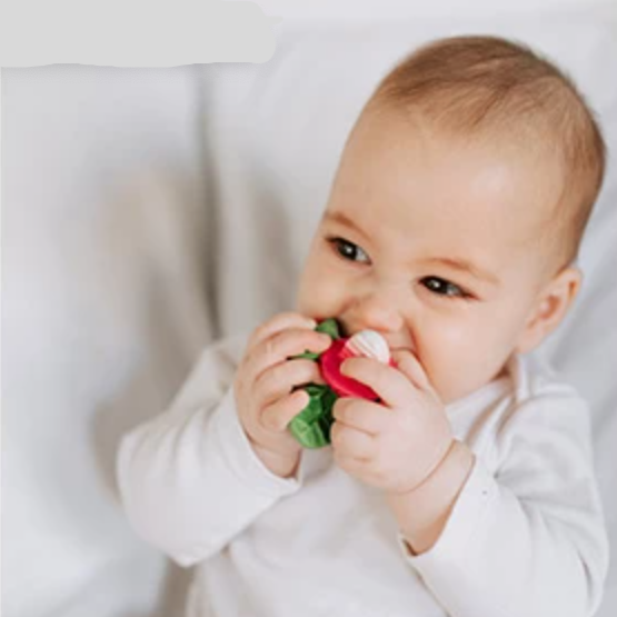 RAMONITA THE RADISH MINI-TEETHER & BATH TOY - Little-ish