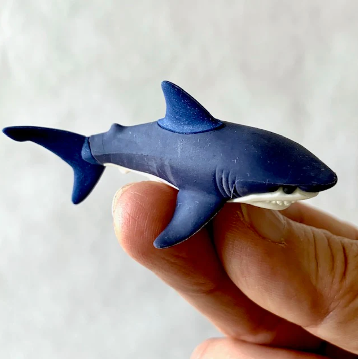 SHARK IWAKO ERASER - Little-ish