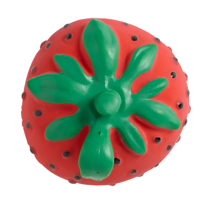 SWEETIE THE STRAWBERRY MINI TEETHER BATHTOY - Little-ish