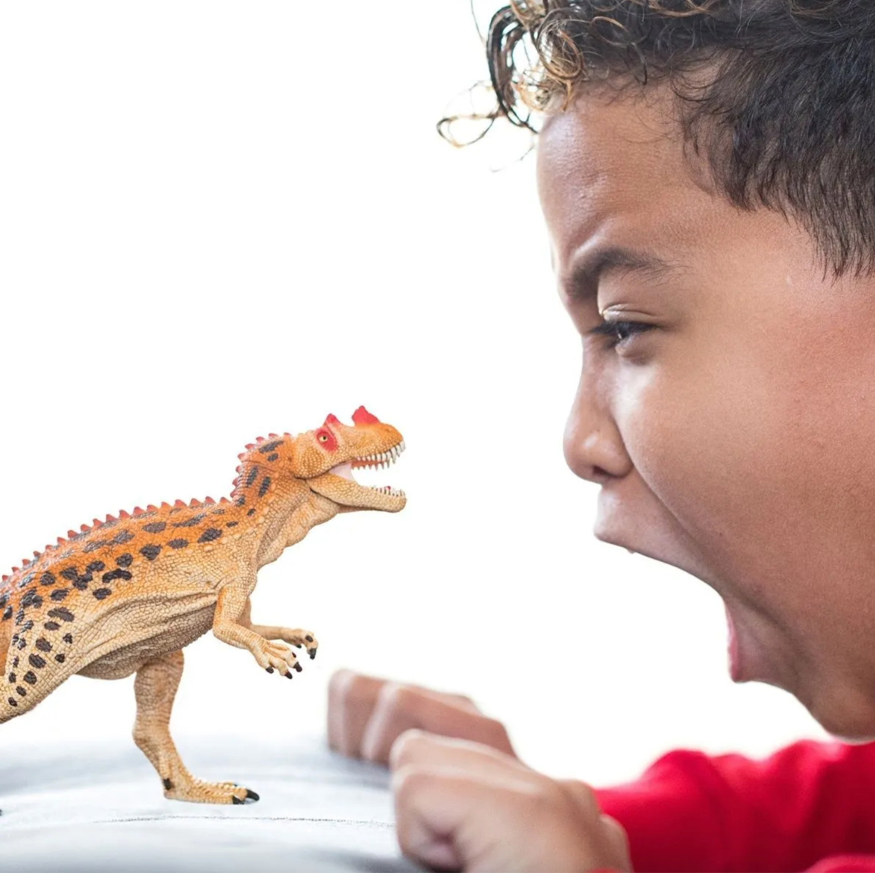 SCHLEICH CERATOSAURUS DINOSAUR - Little-ish